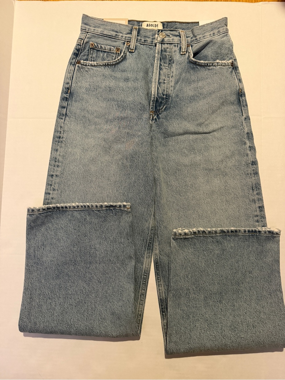 Women’s Agolde LOW SLUNG BAGGY Jean